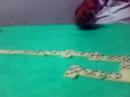 meus videos