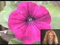 Home Movie Vol 10: ...this week in my natural world