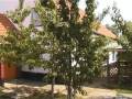 Madárpark-Szállás