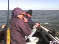 pesca pejerrey pesca pejerrey