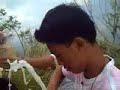 http://www.freewebs.com/bezarvin ... myc trip to mt. makulot, cuenca, batangas, philippines ...