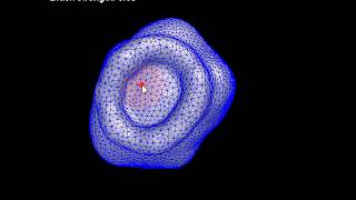 Dynamic Mesh video