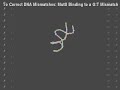 to correct mismatches: muts binding to a g:t mismatch