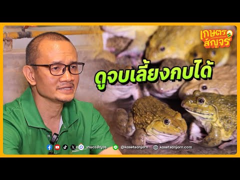 มือใหม่อยากเลี้ยงกบ เริ่มต้นยังไง? | เกษตรสัญจร