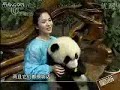 Song Hye Kyo & Panda visit