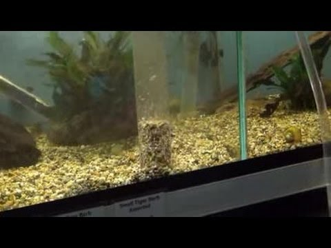 how to dye aquarium gravel