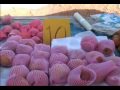 Food Market @ Rawai beach - Phuket Thailand Food Market @ Rawai beach - Phuket Thailand