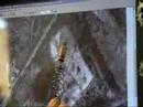 Dousing Part 3