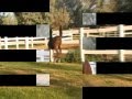 2008 Magnum Chall Filly