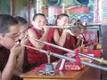 Tibetan and Nepalese Nuns singing, Nagi Gompa, Nepal