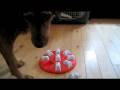 videos de Bea Puzzle