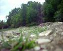 dirt jumping dirt jumping