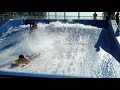 Oasis_Surfs_Up.m4v
