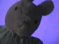 Celebrity Bunny