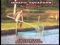 israfil aquafarm hatchery, baao cam sur. (Tilapia) israfil aquafarm hatchery, baao cam sur. (Tilapia)