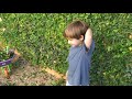 Gilad the \"Fixing Gardener \" Gilad the \"Fixing Gardener \"