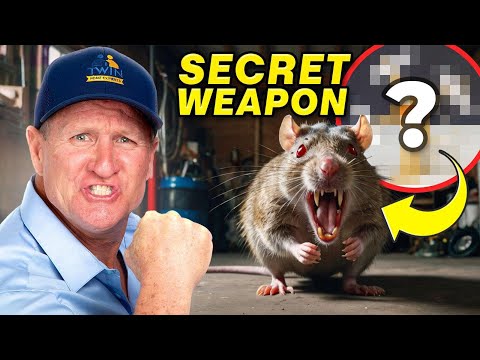 Rats Outsmarted 48 Glue Traps - So We Had To Do THIS!