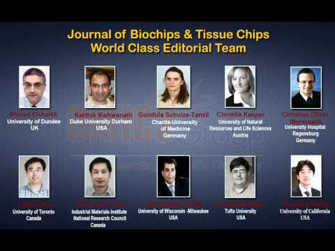 chips away chips away