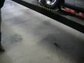 Sam's Chevy Camaro LS1 2nd Dyno Pull