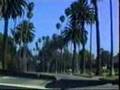Beverly Hills 1 sightseeing Los Angeles