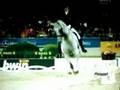 Dressage - Dawn (Go Away)