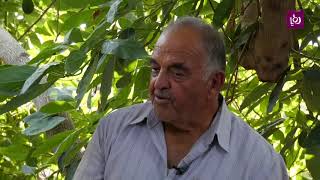 قرية جيوس  - فلسطين - حلوة يا دنيا