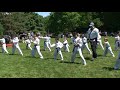 Elaina Cohen: Tae Kwan Do - Form