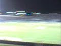Torcida do Palmeiras Floripa