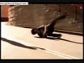 dustin dollin-baker has a deathwish