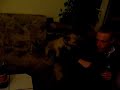 Benito als H�ndin, verh�lt sich als R�de