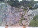 CAPRI