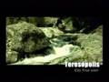 Foto v�deo