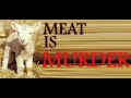 WE ARE NOT ANIMALS!