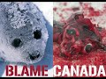 WE ARE NOT ANIMALS!