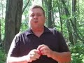 Dog Training - The Kong Toy