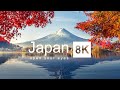 Tour Nhật Bản 5N5Đ: Tokyo - Núi Phú Sĩ - Nagoya - Kyoto - Osaka