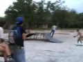 Vert Skating Jam