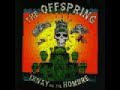 teledysk, klip, Offspring,- Disclaimer