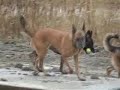 Zenna 24-12-2006 Deel 1