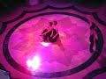 Modern Dance Modern Dance