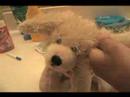 How to wash your webkinz