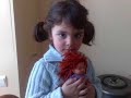 prenses azra kizilaslan prenses azra kizilaslan