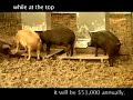 Greed is not a family value