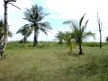 Palo Seco Beach, Property Id [3]