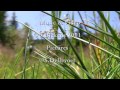 A walk in France - YouTube