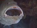 Hey, bigmouth!