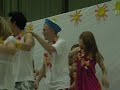 f�te de la plaine soleil est verdure 2008