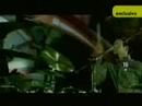LAS 10 MEJORES CANCIONES ROCK NU METAL PARTE 1/2