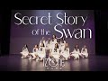 Secret Story of the Swan