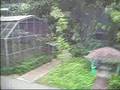 Panorail @ Bird Park
